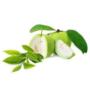Guava Thai/Amrood Thai/अमरुद(थाई)