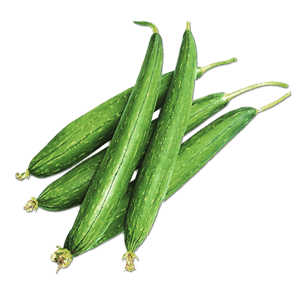 Sponge Gourd/Gilki/गिलकी