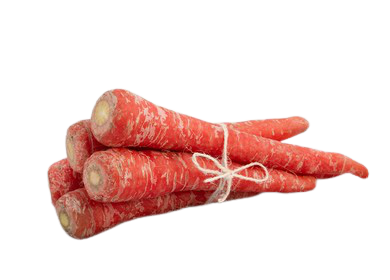 Carrot/Gajar/गाजर